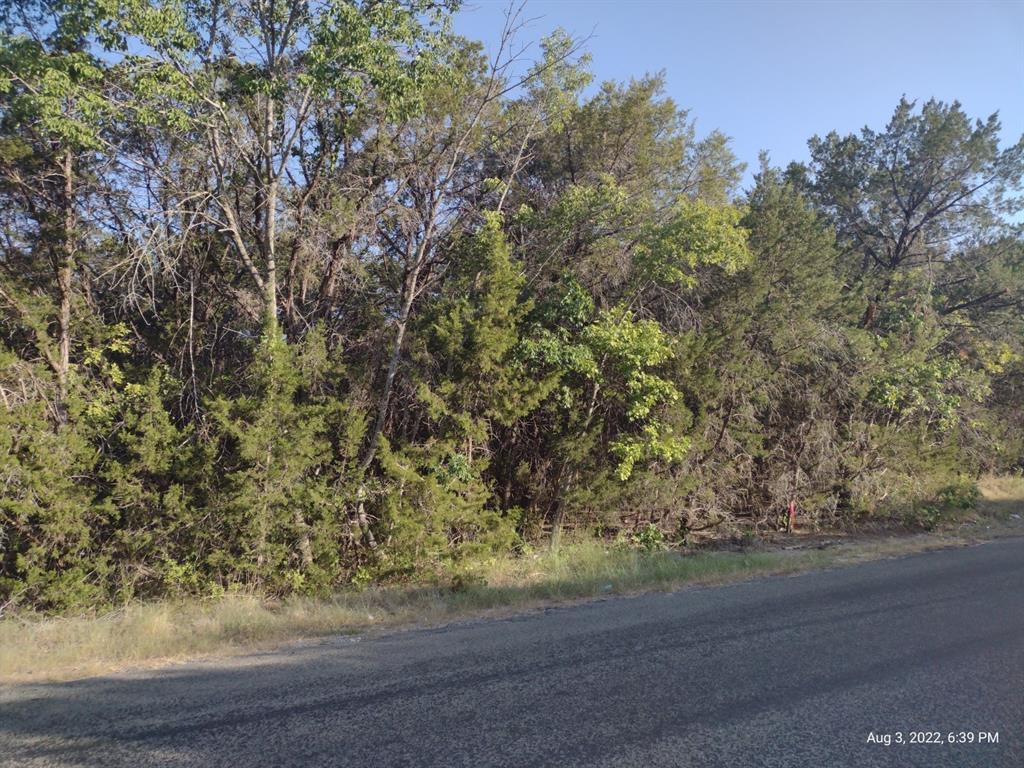 1011 Comanche Cove Drive Property Photo 1