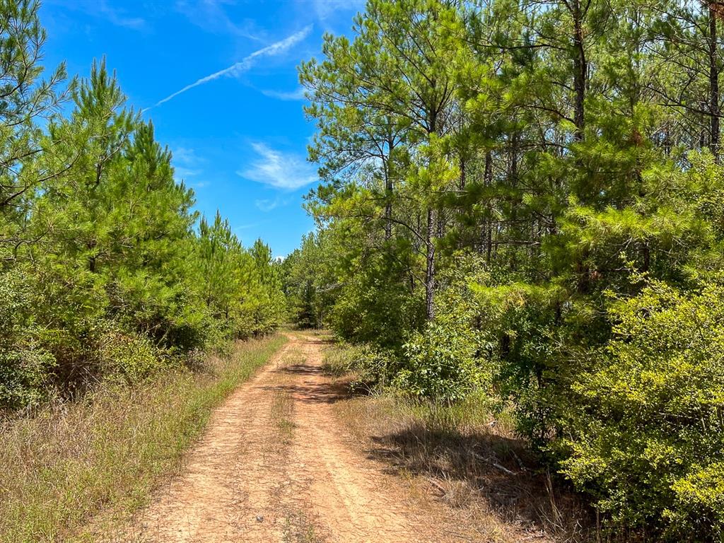 0 Lost Indian Camp Rd Property Photo 1