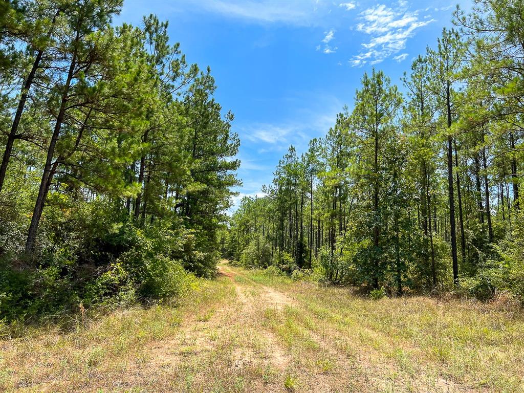0 Lost Indian Camp Rd Property Photo 4