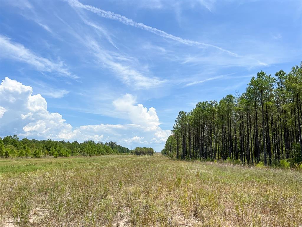 0 Lost Indian Camp Rd Property Photo 6