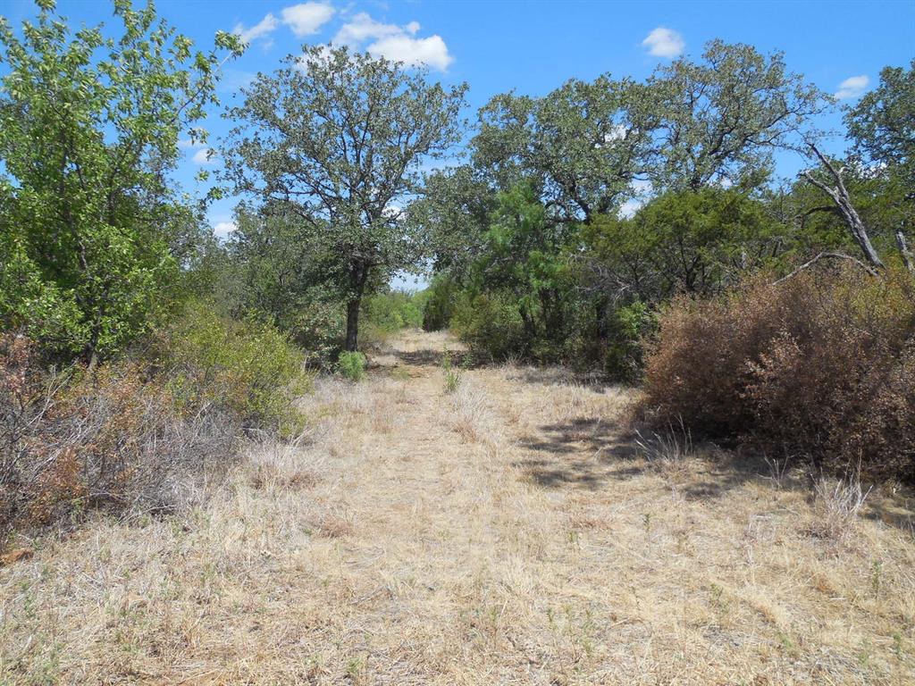 Tbd 10 Acres Cr 136 Property Photo 1