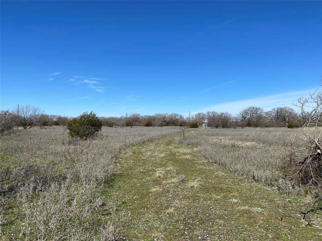10281 County Road 126 Property Photo 6