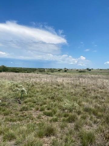 2565 County Road 617 Property Photo 17