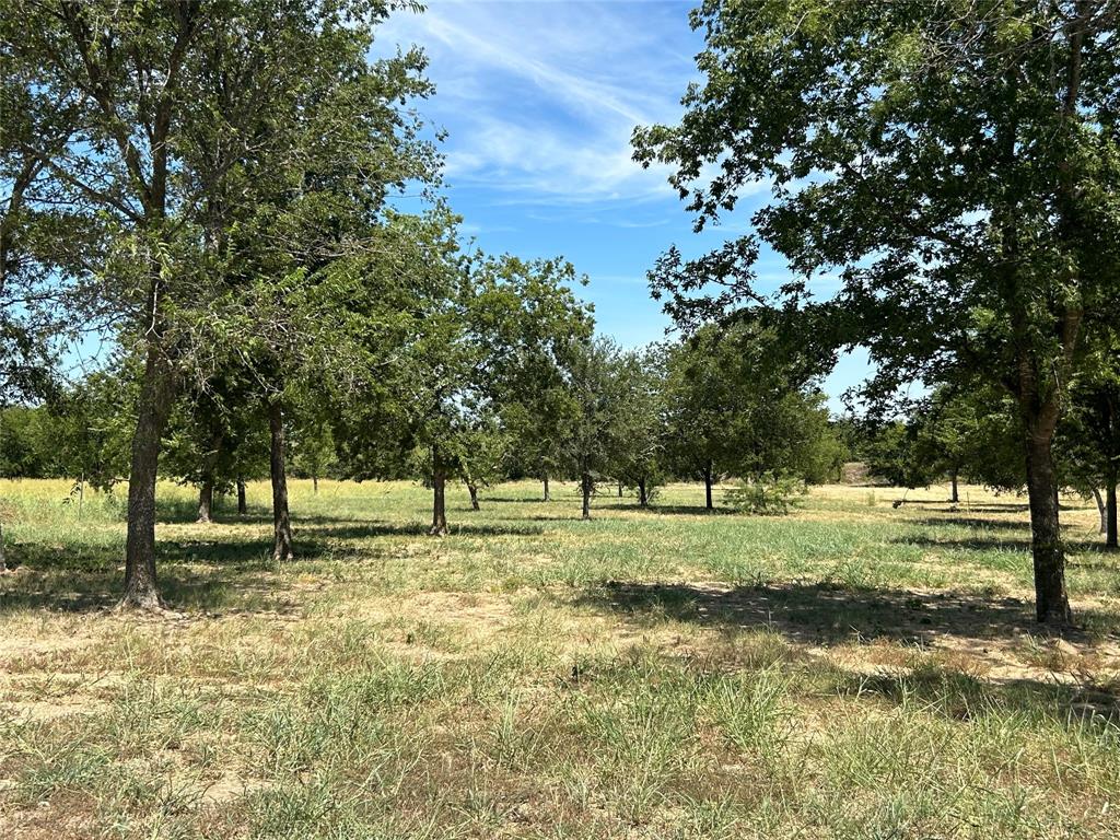 3044 Winding Creek Trail Property Photo 6