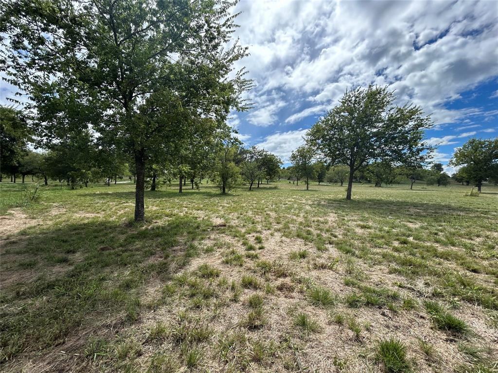 3044 Winding Creek Trail Property Photo 7
