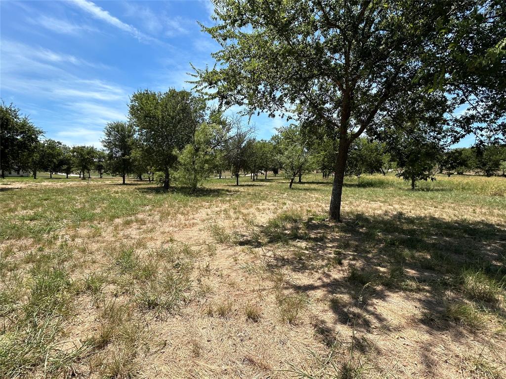 3044 Winding Creek Trail Property Photo 11