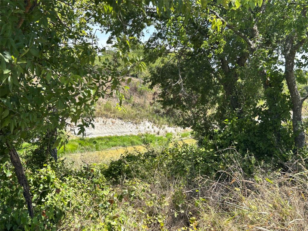 3044 Winding Creek Trail Property Photo 15