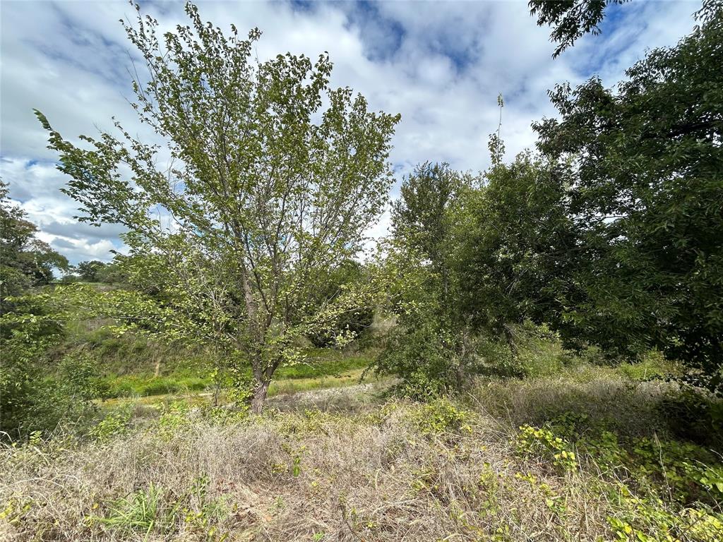 3044 Winding Creek Trail Property Photo 20