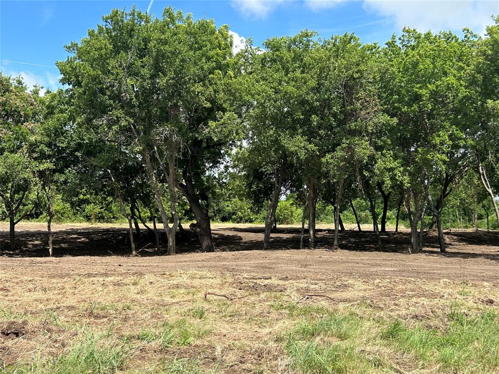 3078 Winding Creek Trail Property Photo 9