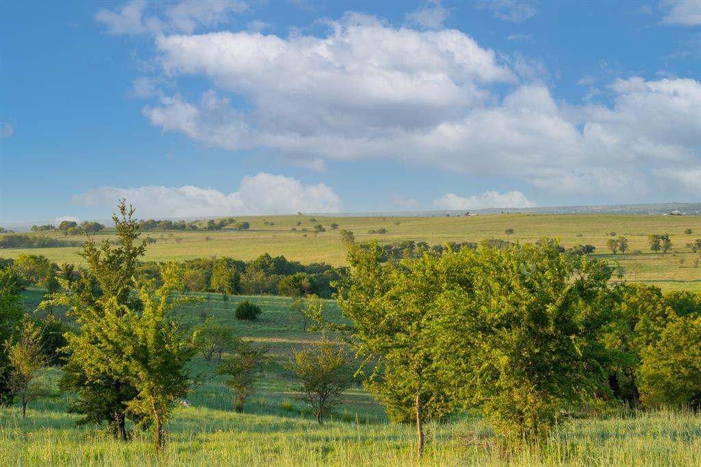 3027 Winding Creek Trail Property Photo 8