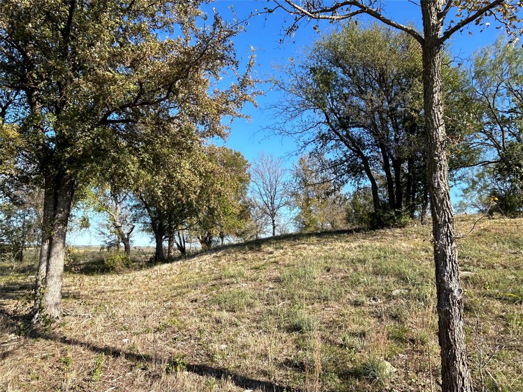 2010 Hidden Bluff Drive Property Photo 1