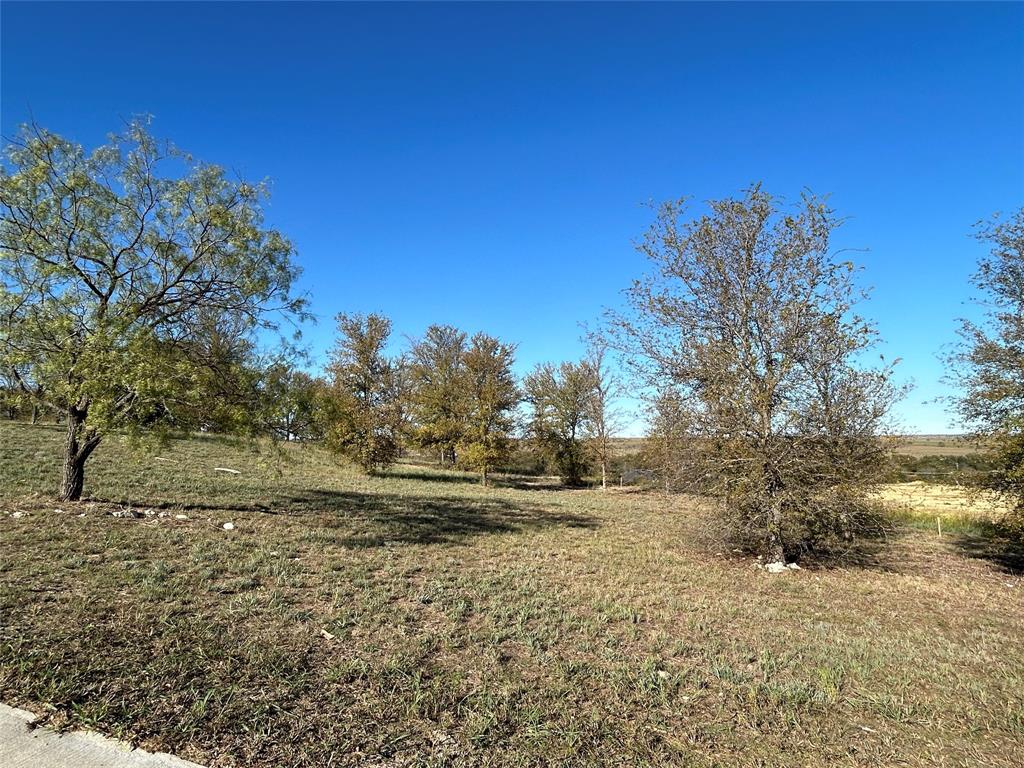 2010 Hidden Bluff Drive Property Photo 6
