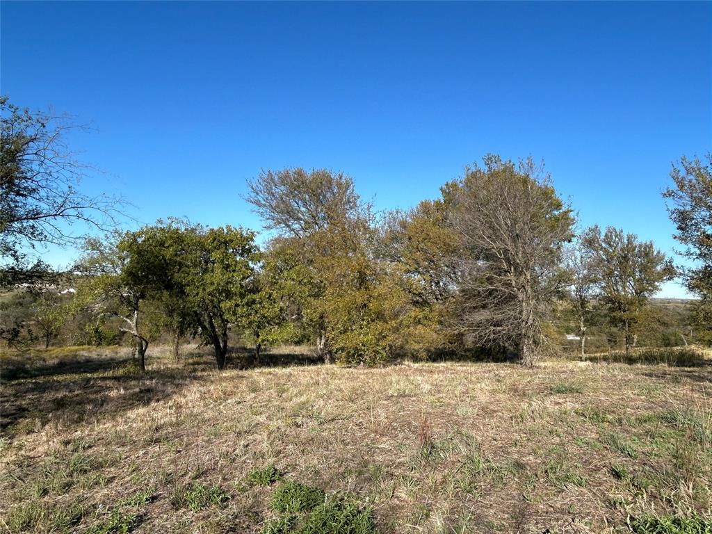 2010 Hidden Bluff Drive Property Photo 14
