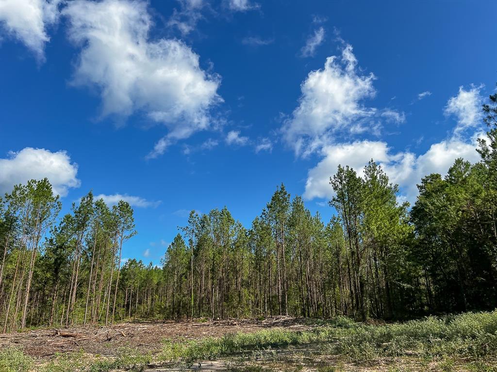 00 Slim Palmer Rd Property Photo