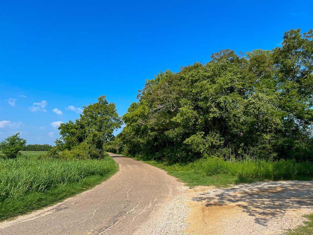 0 County Road 328 Property Photo