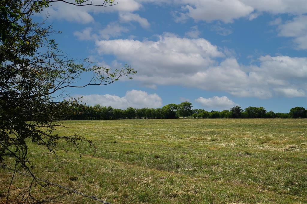 Tbd Cr 318 Property Photo 4
