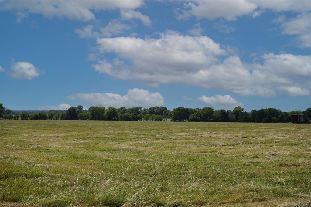 Tbd Cr 318 Property Photo 5