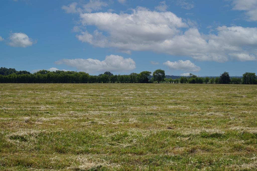 Tbd Cr 318 Property Photo 6