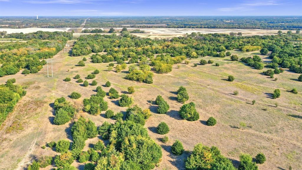 Tbd County Road 429 Property Photo 18