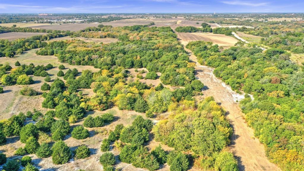 Tbd County Road 429 Property Photo 21