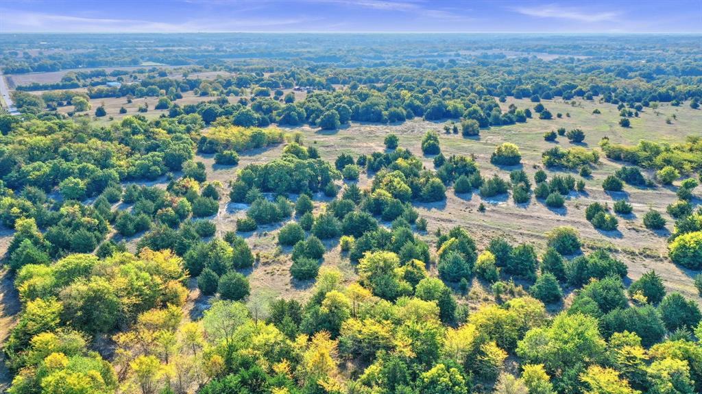 Tbd County Road 429 Property Photo 22