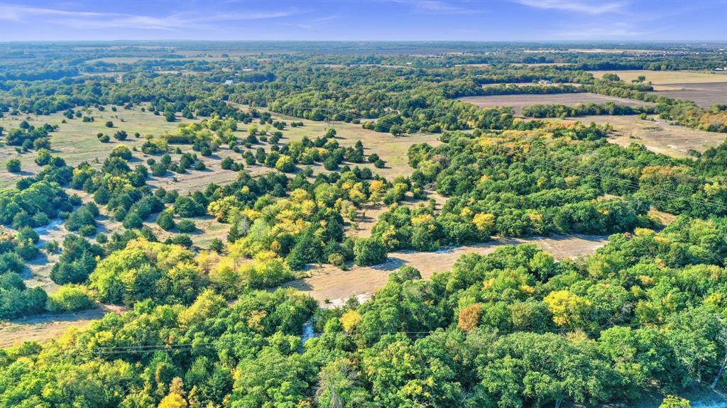Tbd County Road 429 Property Photo 25
