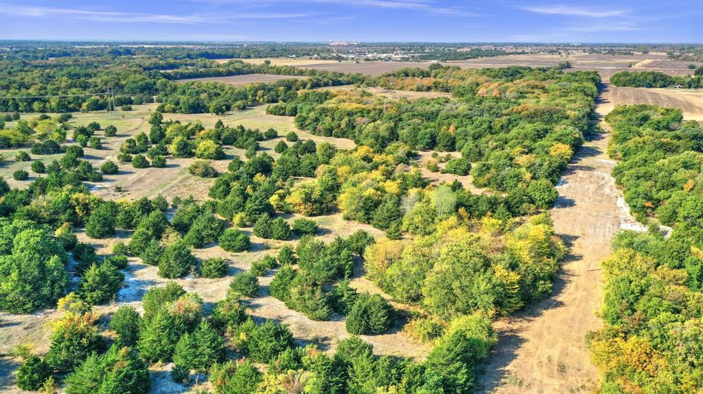 Tbd County Road 429 Property Photo 28
