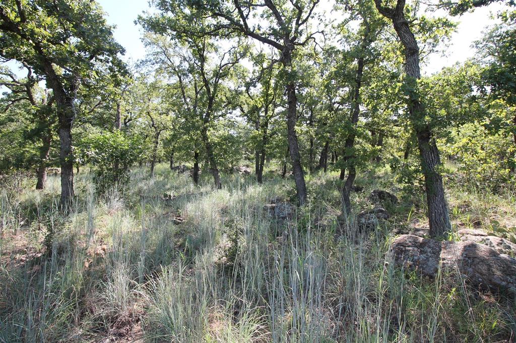 Lot 265 Ridgeline Drive Property Photo 1