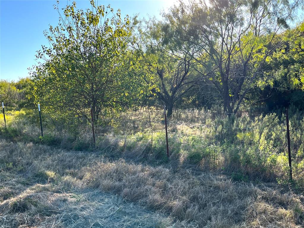 Tbd Hwy 289 Property Photo 8