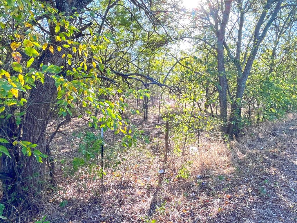 Tbd Hwy 289 Property Photo 10