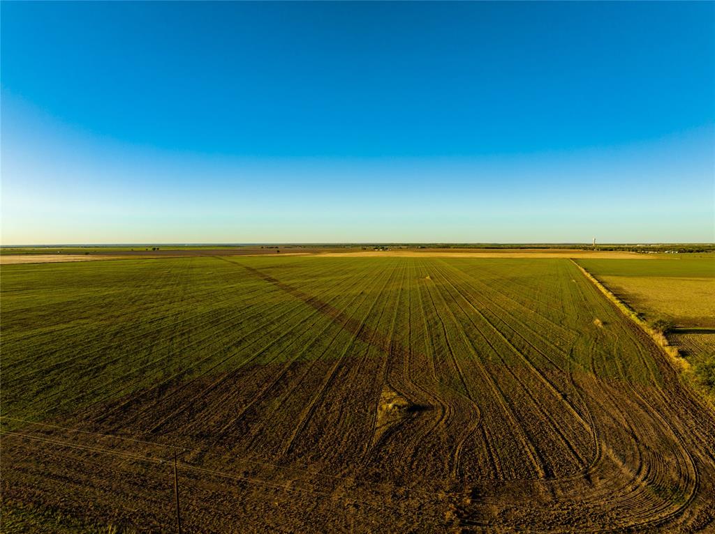 Tbd County Road 503 Property Photo