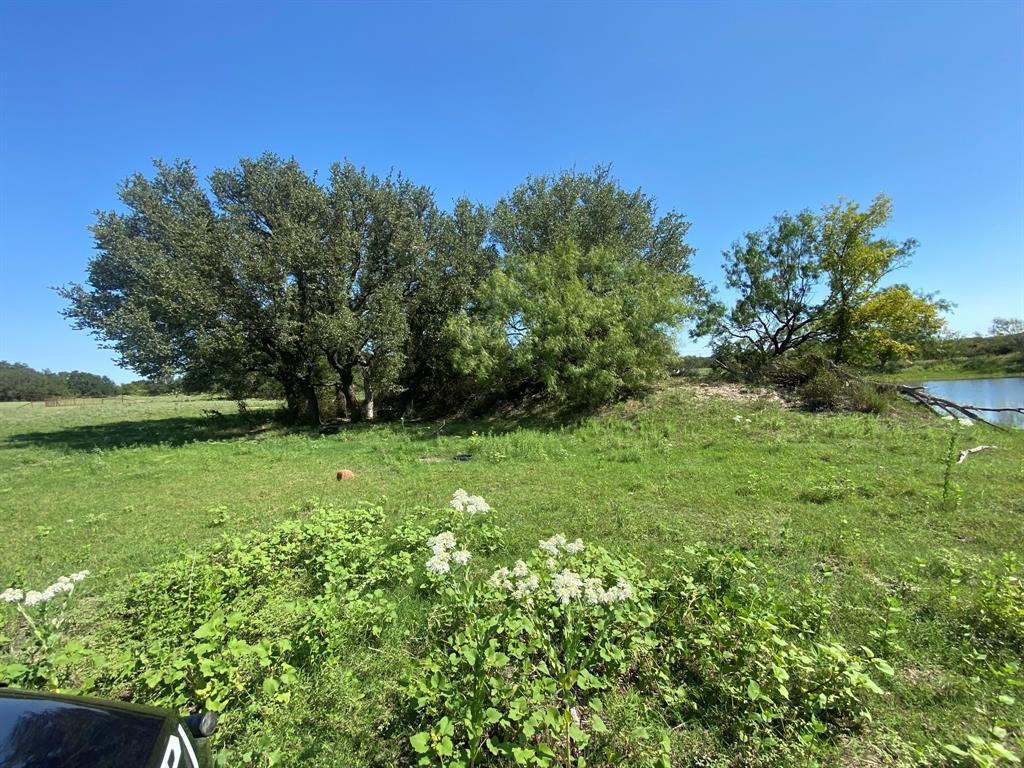 Tbd State Highway 16 Property Photo 3