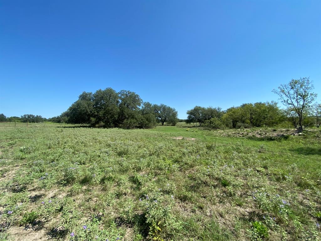 Tbd State Highway 16 Property Photo 4
