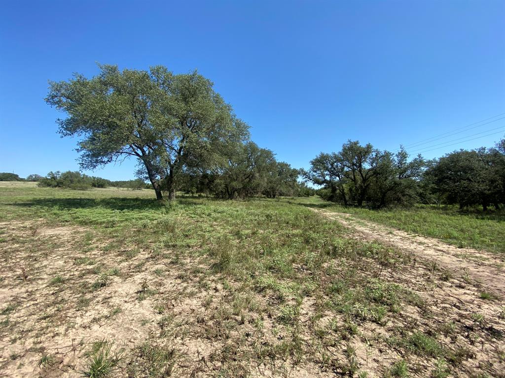 Tbd State Highway 16 Property Photo 8
