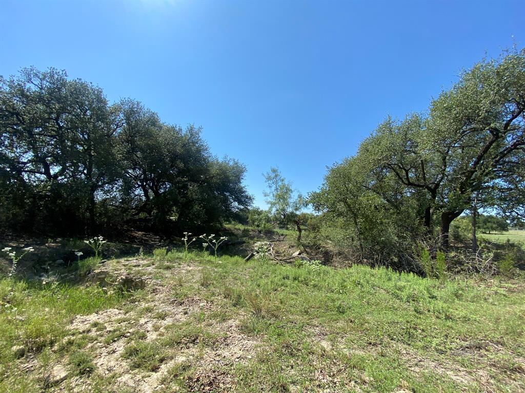 Tbd State Highway 16 Property Photo 9