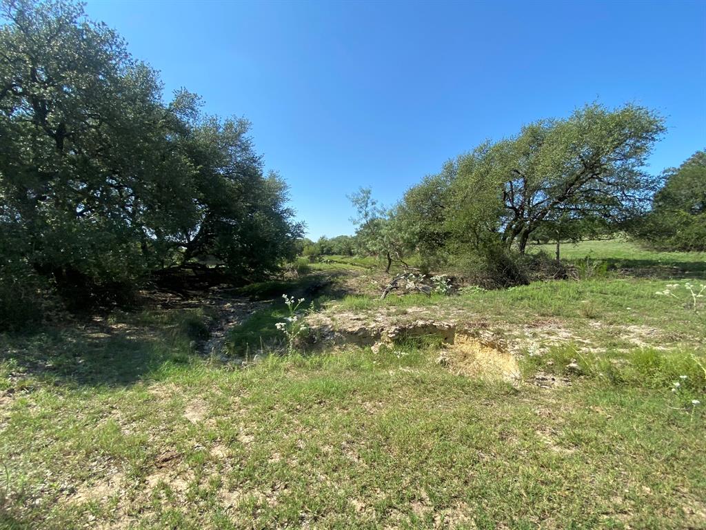 Tbd State Highway 16 Property Photo 10