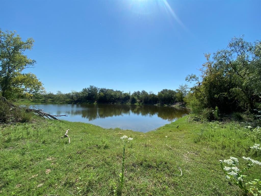 Tbd State Highway 16 Property Photo 12
