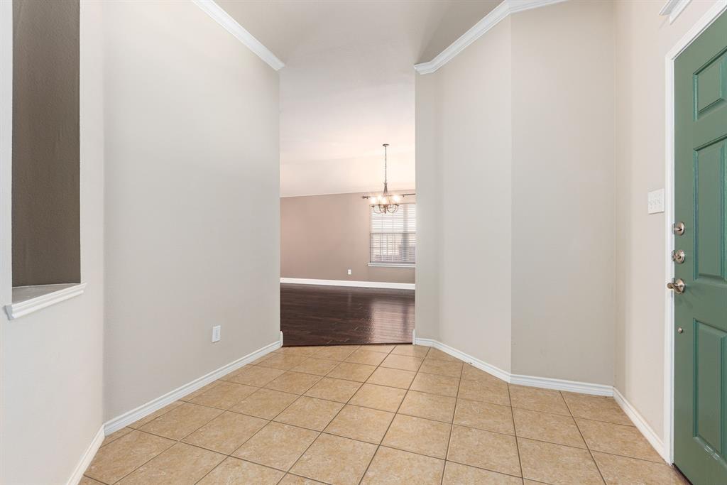 8113 Elk Mountain Trail Property Photo 4