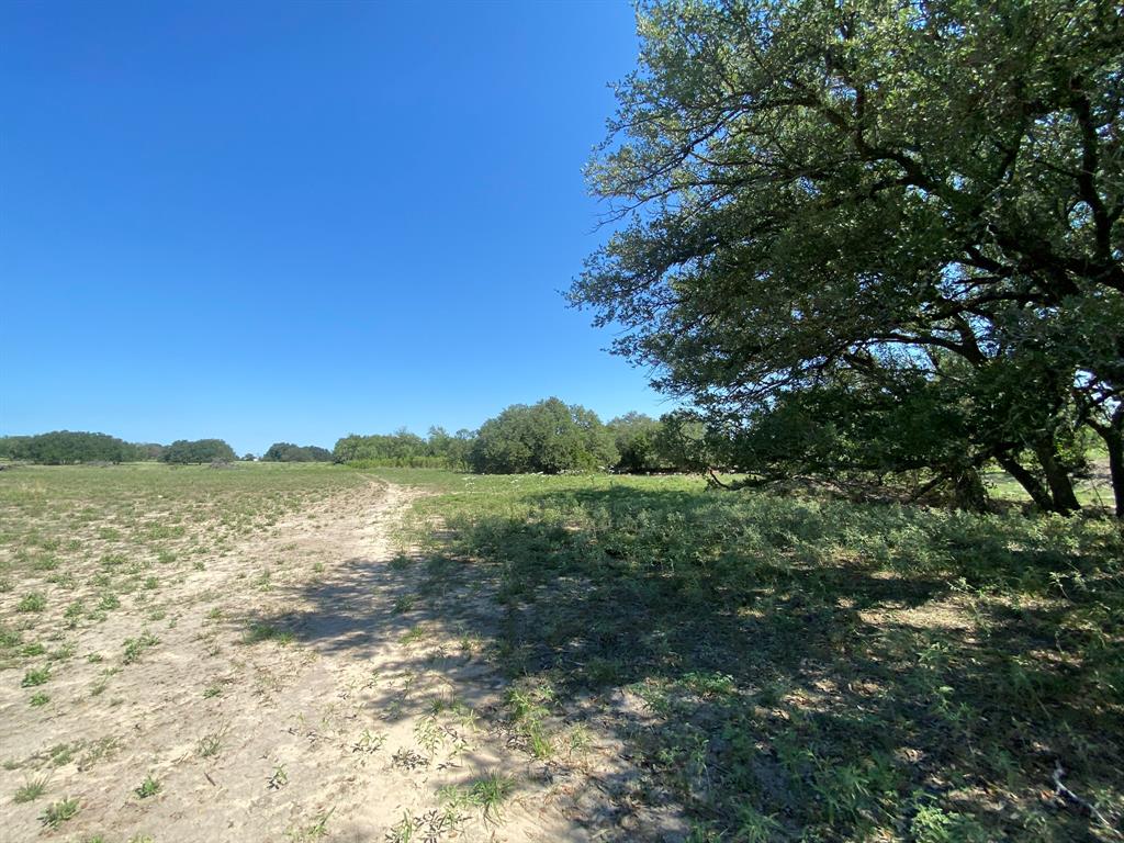 Tbd Fm 3023 Highway Property Photo 6