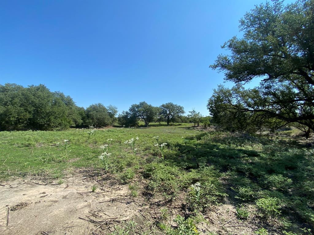 Tbd Fm 3023 Highway Property Photo 7