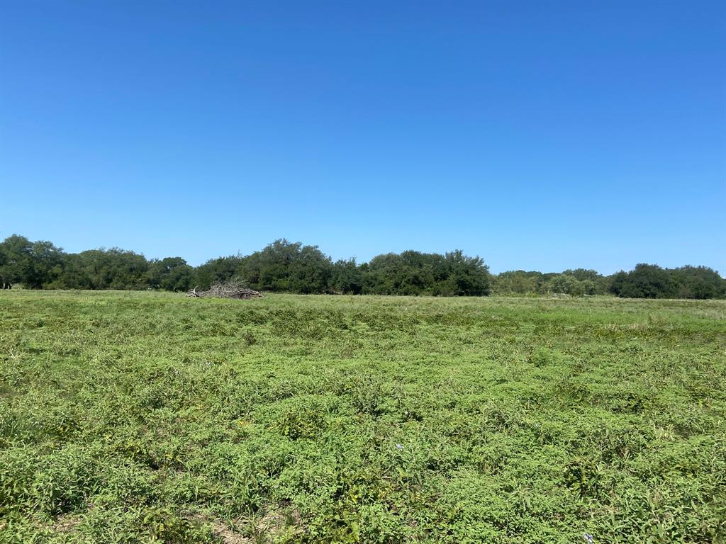 Tbd Fm 3023 Highway Property Photo 10
