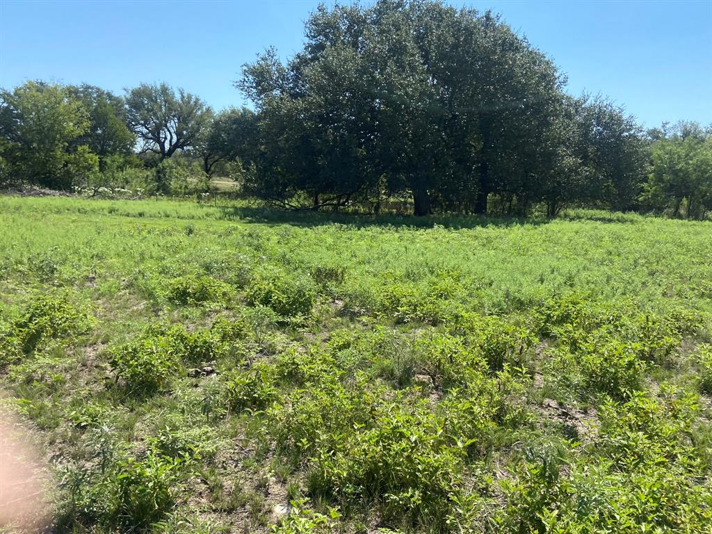 Tbd Fm 3023 Highway Property Photo 11
