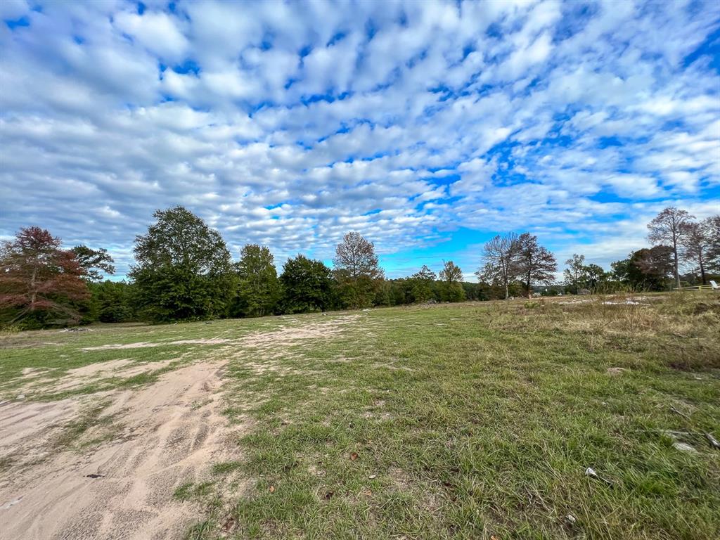 730 I-45 Frontage Property Photo 16