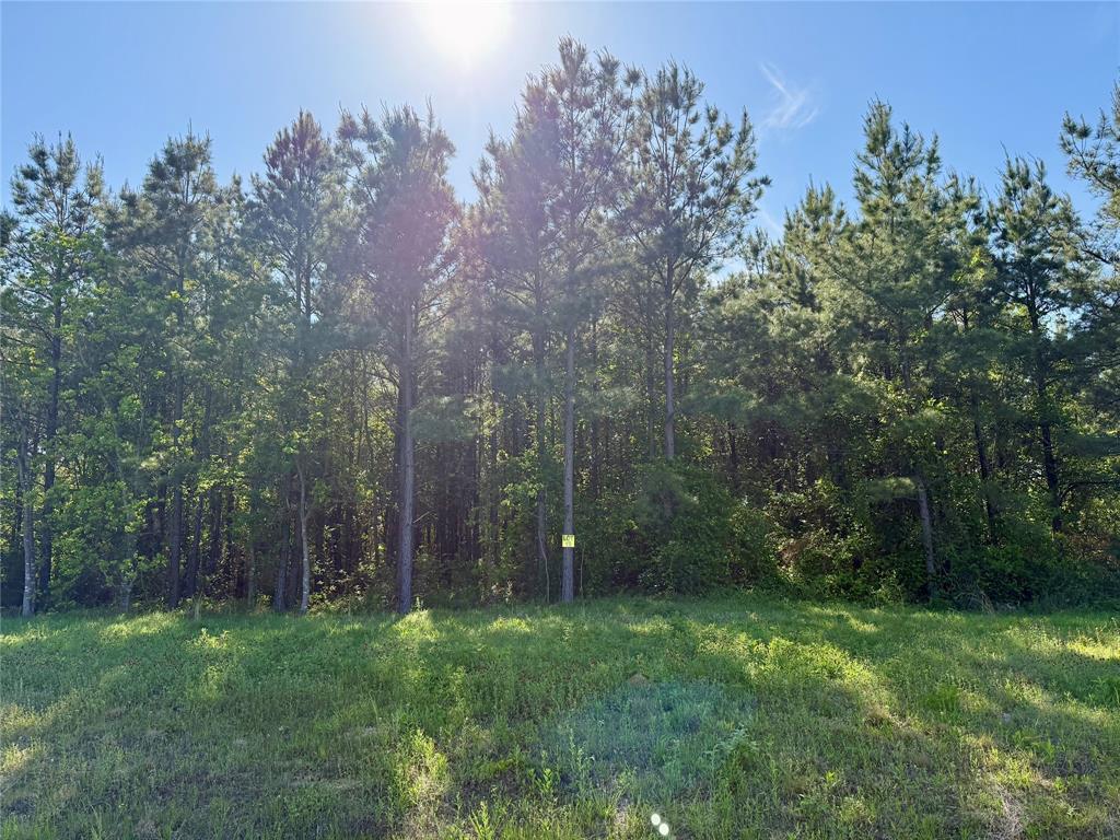 232 Chapel Creek Drive 19 Property Photo 1