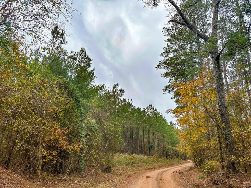 0 Cr 1651 Property Photo 7