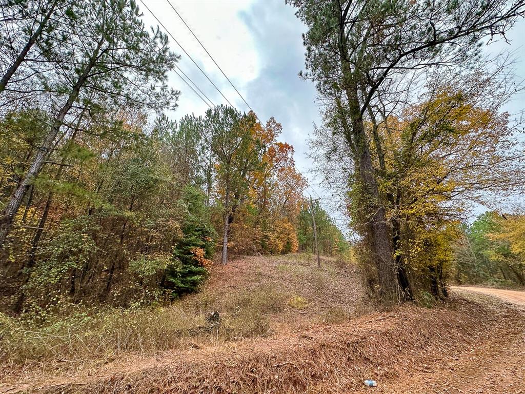 0 Cr 1651 Property Photo 11
