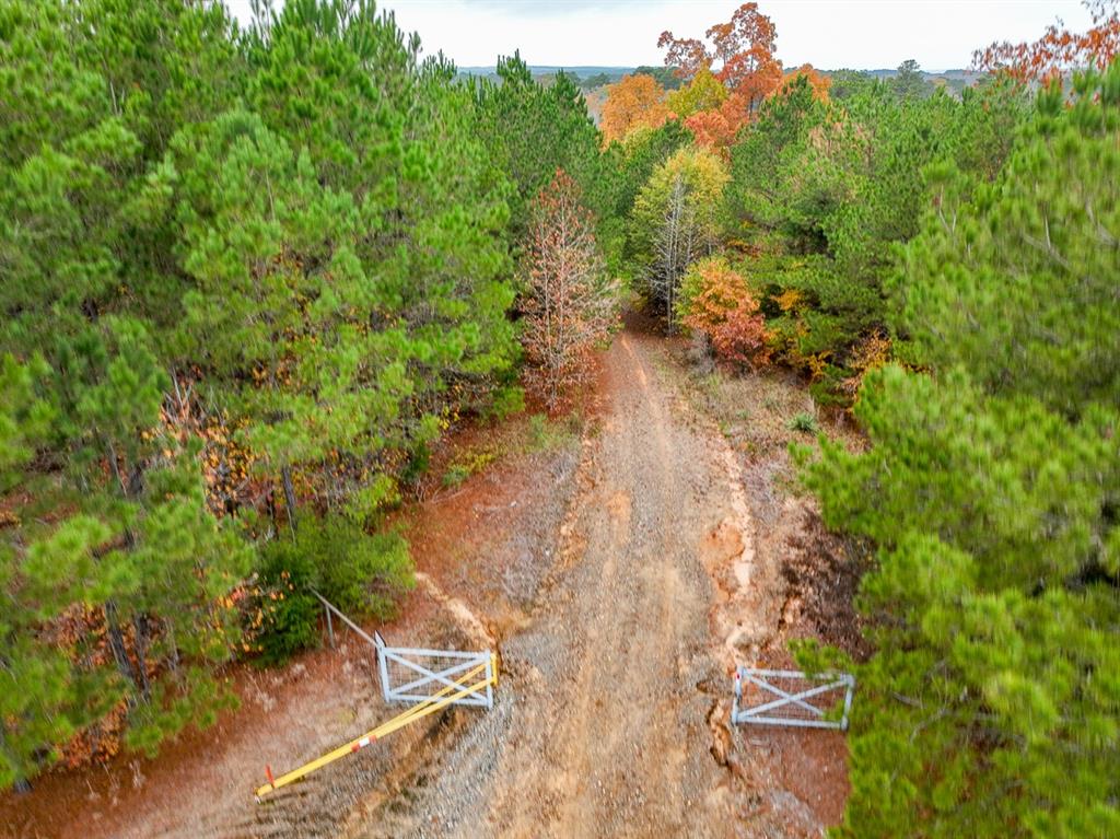 0 Cr 1651 Property Photo 25