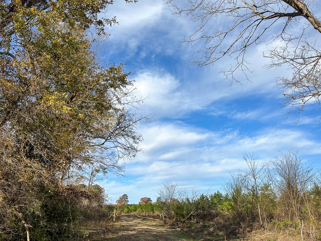 0 Cr 3201 Property Photo 6