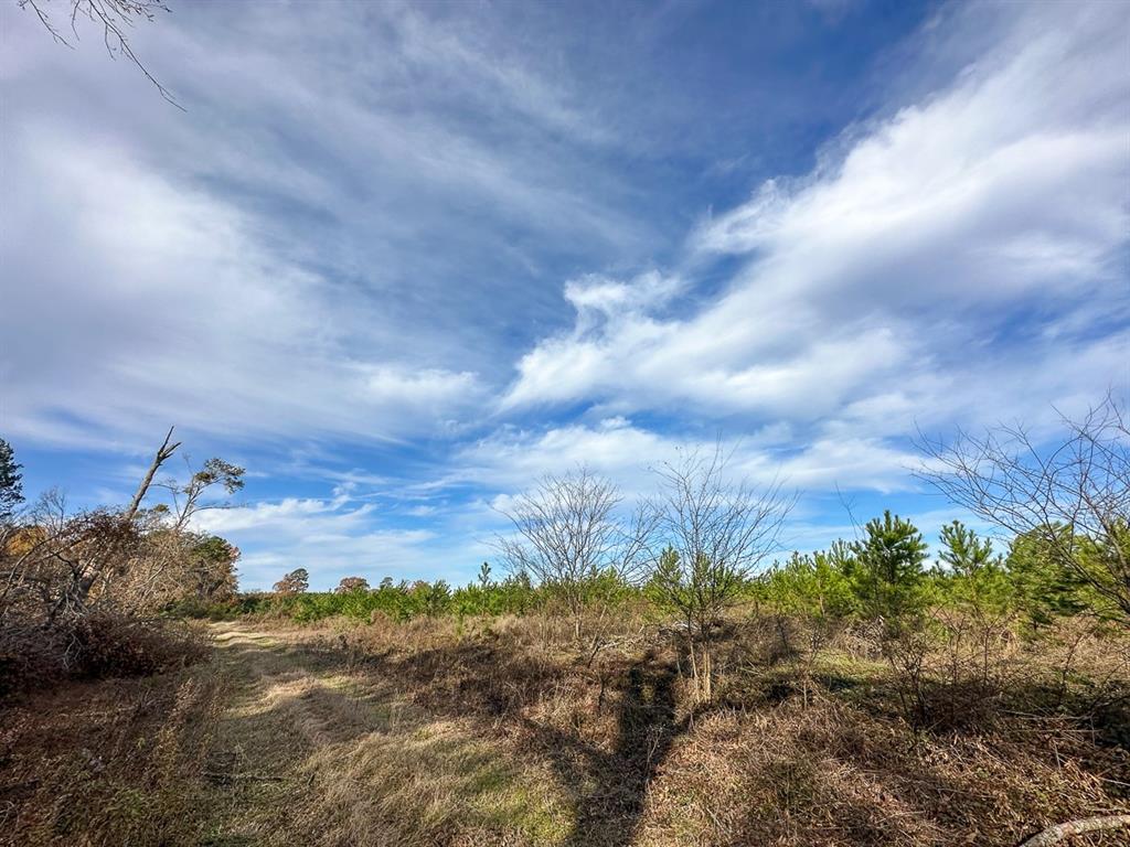 0 Cr 3201 Property Photo 8