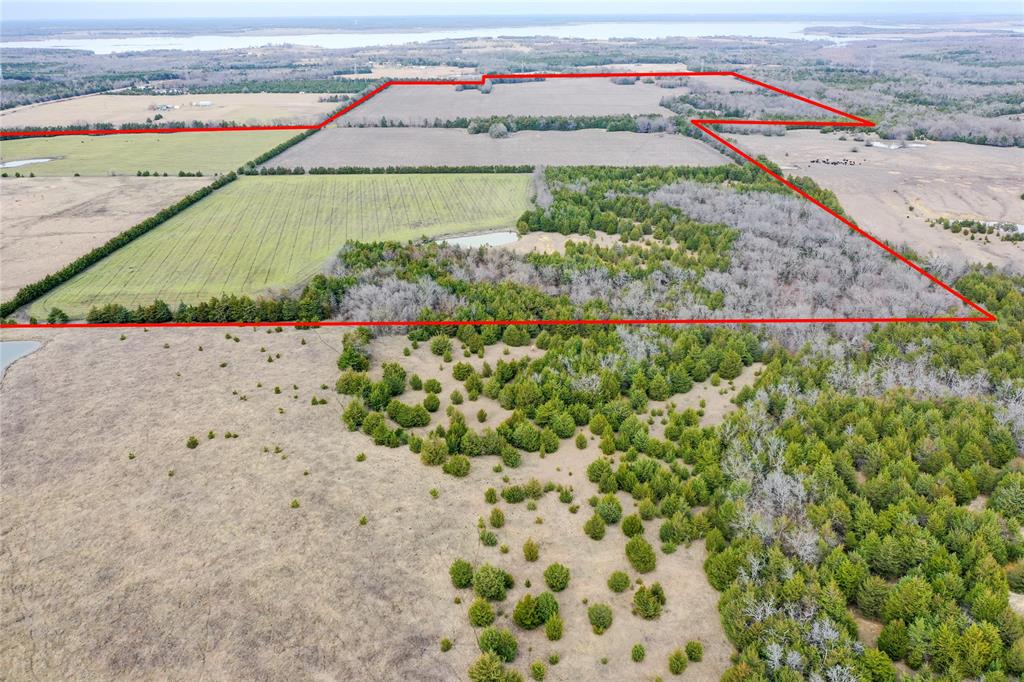 Tbd Fm Hwy 1743 Property Photo 1
